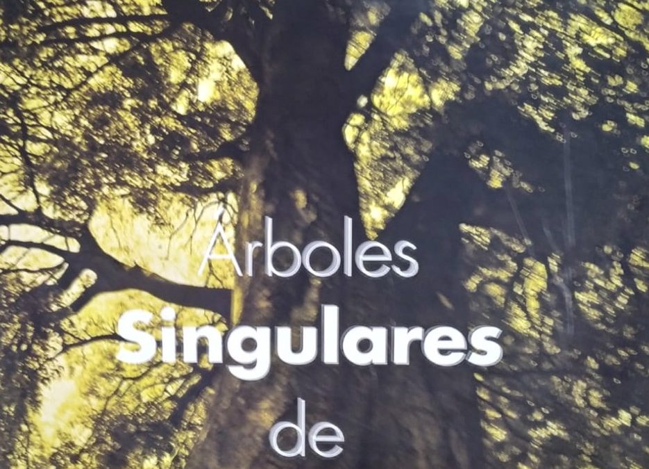 EXPOSICIÓN DE ÁRBOLES SINGULARES DE ALMERÍA